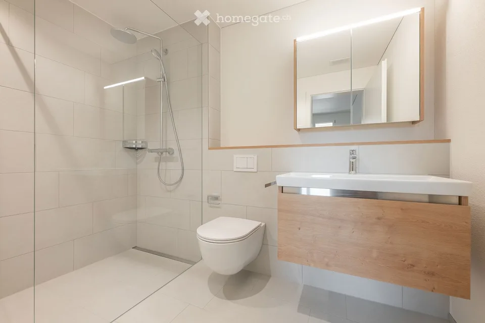Charming 3.5 room new apartment - first occupancy