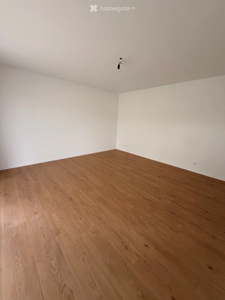 Charmante 2.5 Zimmer-Wohnung mit Balkon und Seeblick in Meisterschwanden