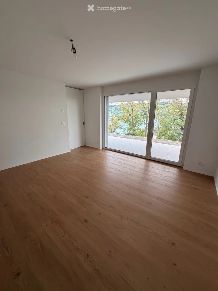 Charmante 2.5 Zimmer-Wohnung mit Balkon und Seeblick in Meisterschwanden