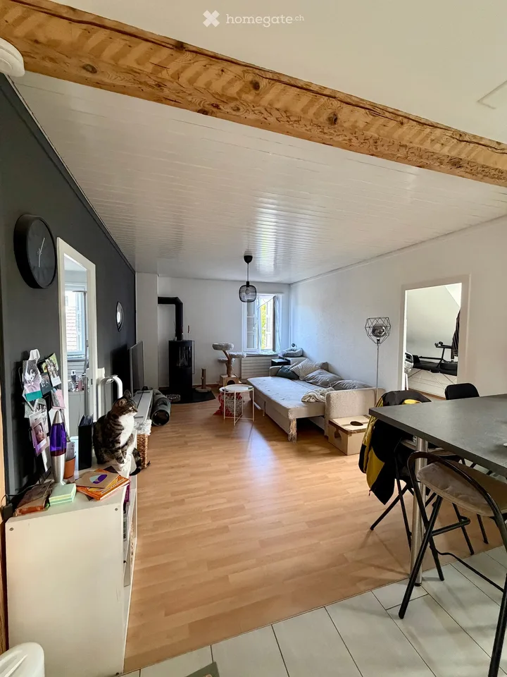 Dachwohnung in Sissach