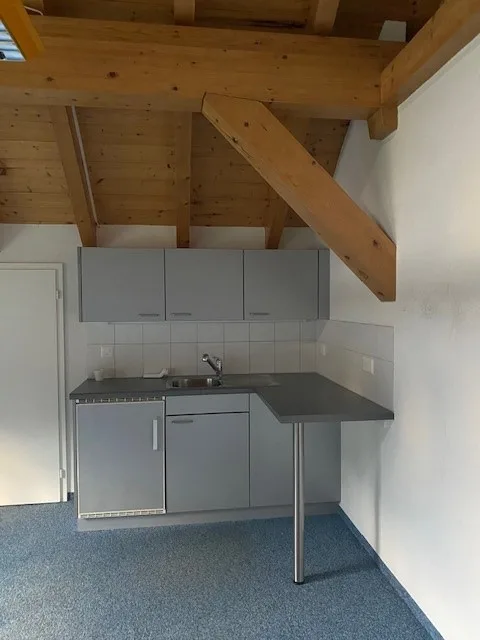 4 Uffici luminosi con charme a Elm – posizione tranquilla con ascensore – foto 11 di 16