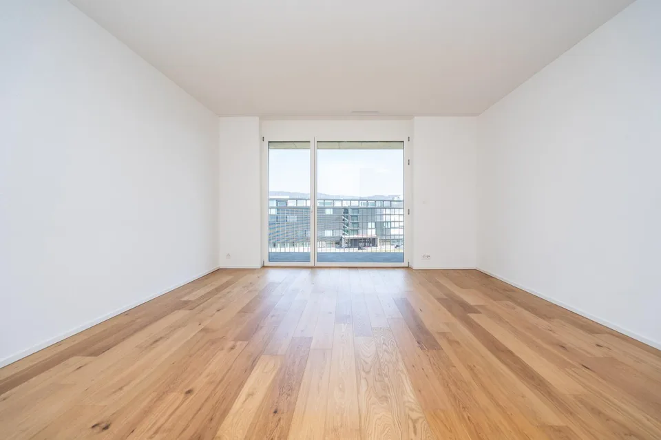 3.5 room apartment in Spreitenbach