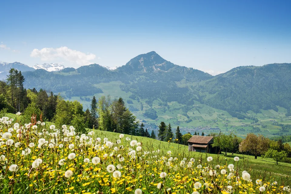 Exklusive 5.5-Zimmer-Terrassenwohnung mit Bergblick in Sattel – Foto 16 von 18
