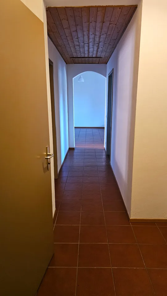Cerchiamo subentrante per 3.5 locali a Novaggio