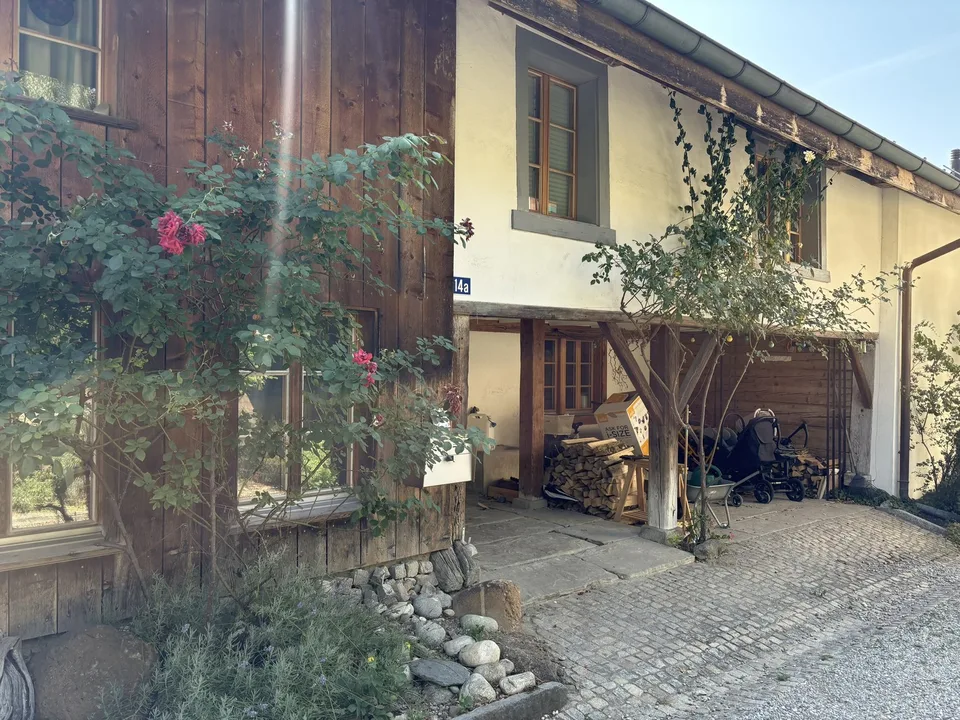 Charming 6.5 room house in Mettmenstetten