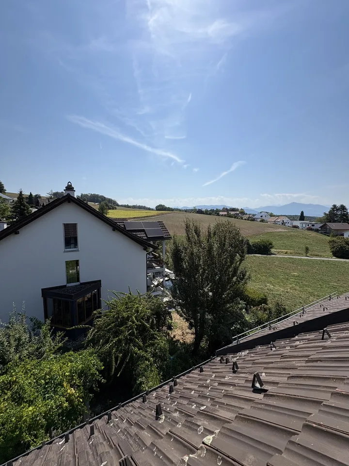Charming 6.5 room house in Mettmenstetten