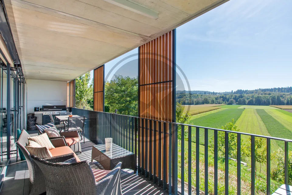 Elegantes 3,5-Zimmer-Wohnung im modernen Stil mit offenem Blick auf das Land – Foto 5 von 9