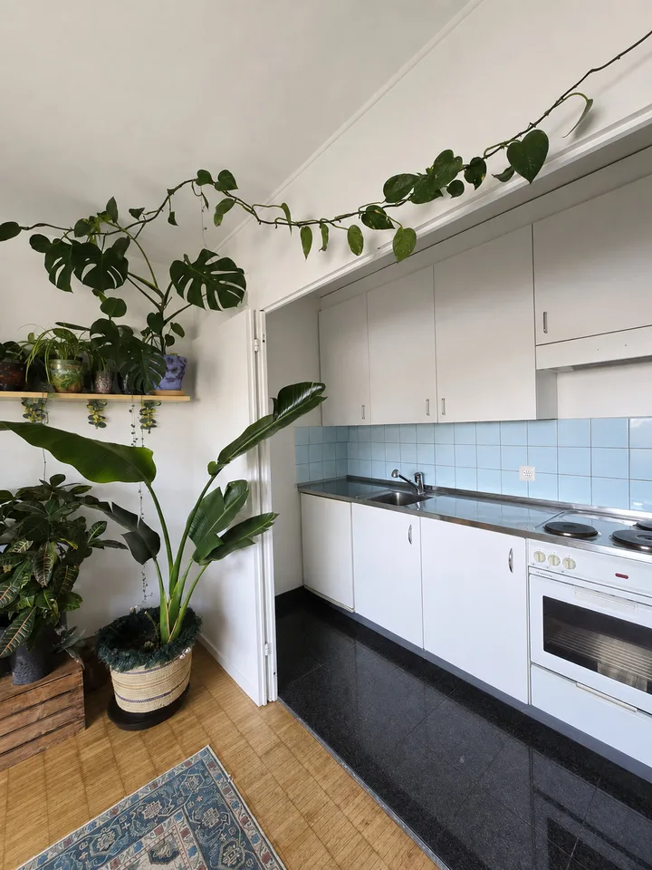 2 ZI-WOHNUNG IN BASEL - MATTHÄUS, MÖBLIERT, TEMPORÄR – Foto 4 von 7