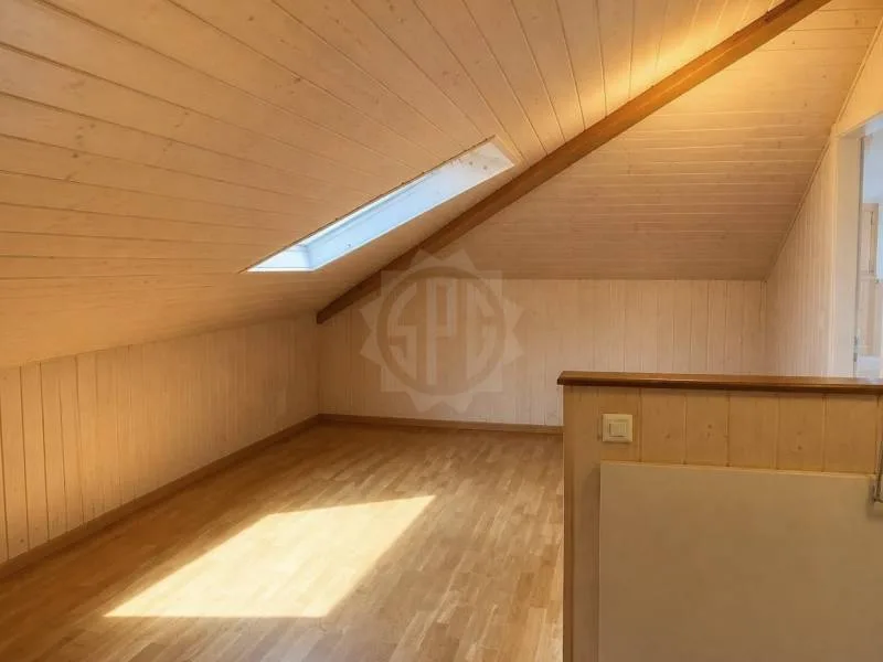 Beautiful apartment - Founex