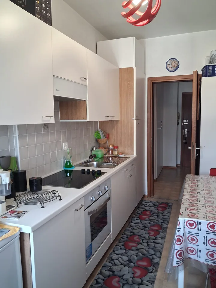 Gesucht: Einziehender für helles 2.5-Zimmer-Apartment in Lugano – Foto 6 von 8