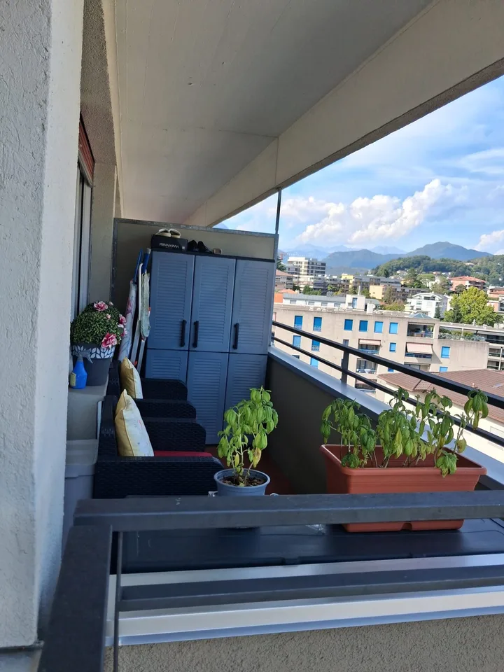 Gesucht: Einziehender für helles 2.5-Zimmer-Apartment in Lugano – Foto 3 von 8