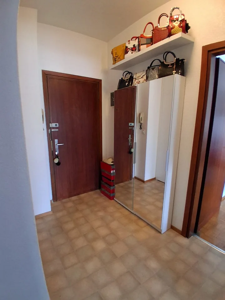 Gesucht: Einziehender für helles 2.5-Zimmer-Apartment in Lugano – Foto 4 von 8