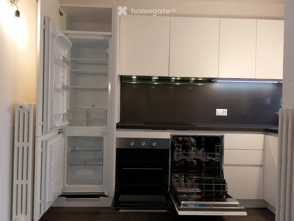 Geräumige, sonnige und renovierte Wohnung – Foto 2 von 5