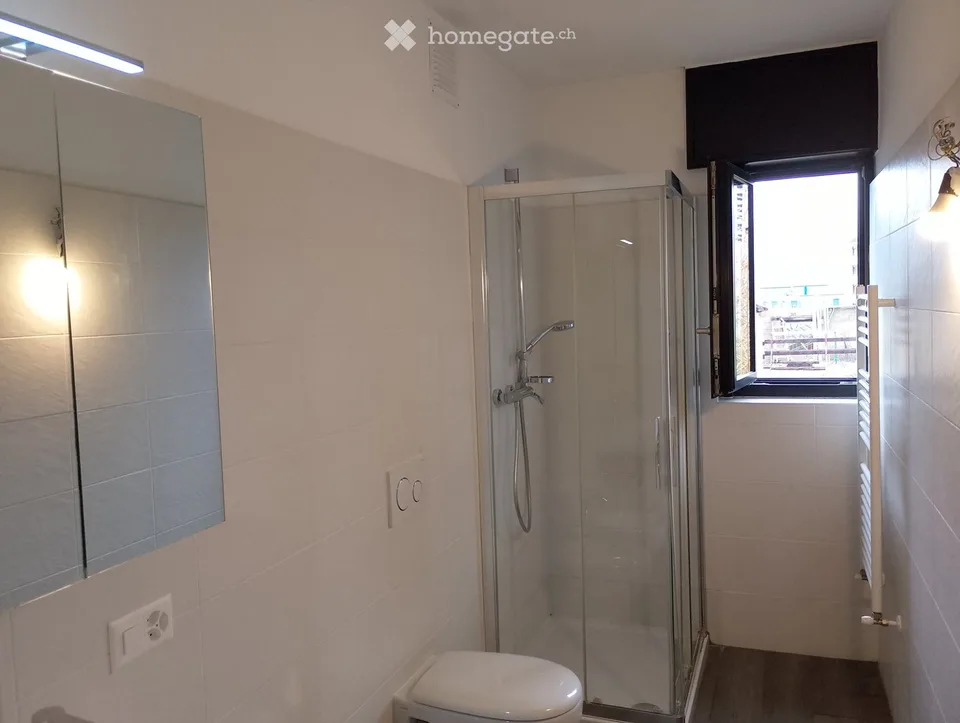 Geräumige, sonnige und renovierte Wohnung – Foto 4 von 5