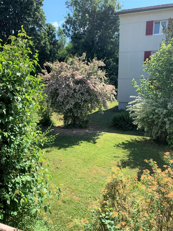 Attraktive 2.5-Zimmer-Wohnung in Zollikofen
