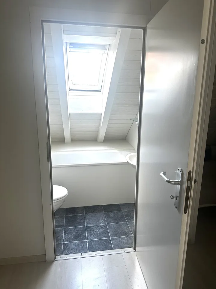 Charmant appartement mansardé 1 pièce à Gutenswil