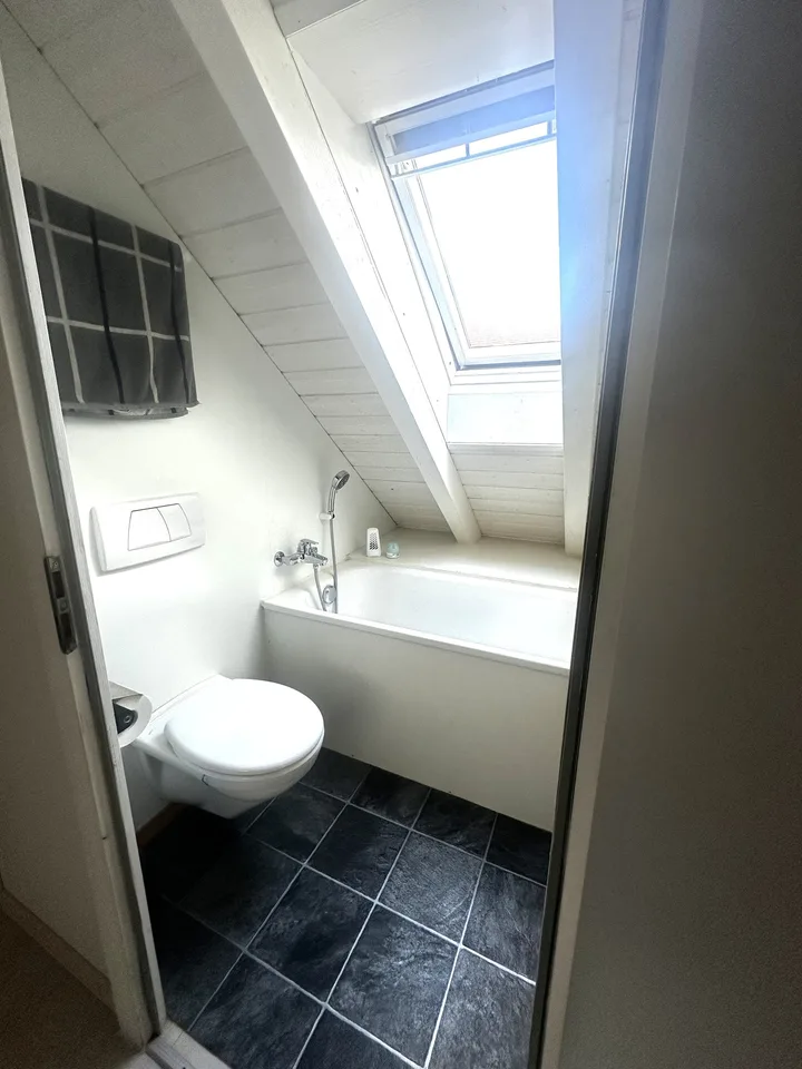 Charmant appartement mansardé 1 pièce à Gutenswil
