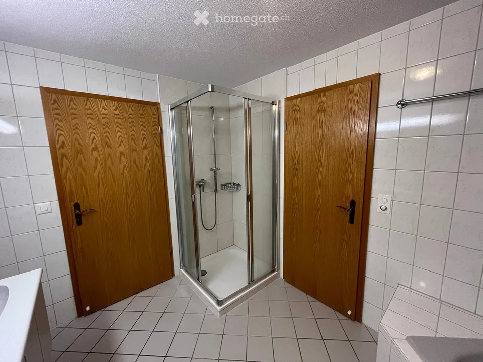Charming 4.5-room apartment in quiet Selzach
