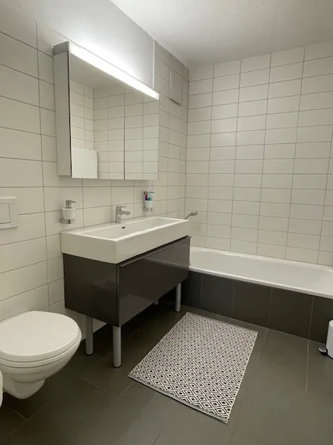 Modern 4.5-room apartment on the outskirts of Magden
