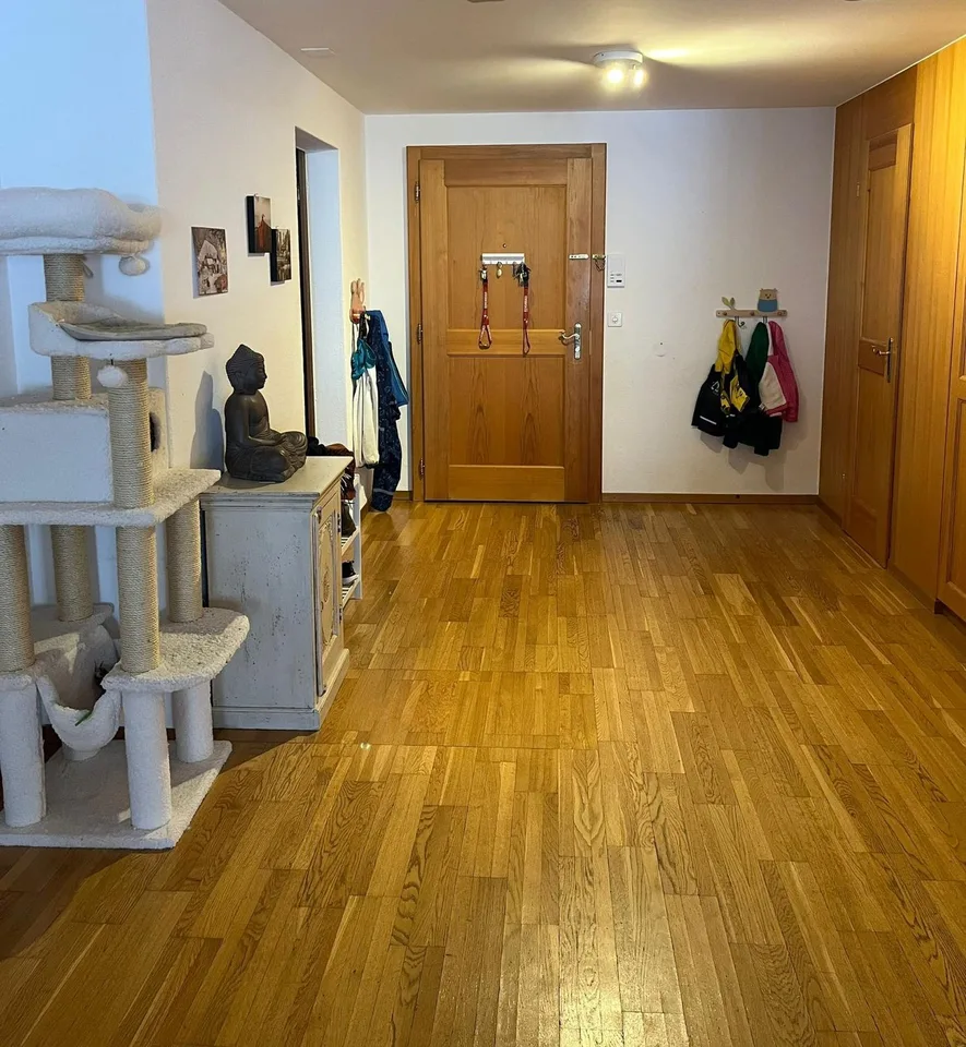 Charmant appartement 5.5 pièces
