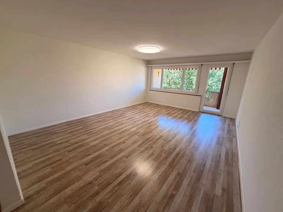Bright 3.5-room apartment with balcony and beautiful view in Sirnach