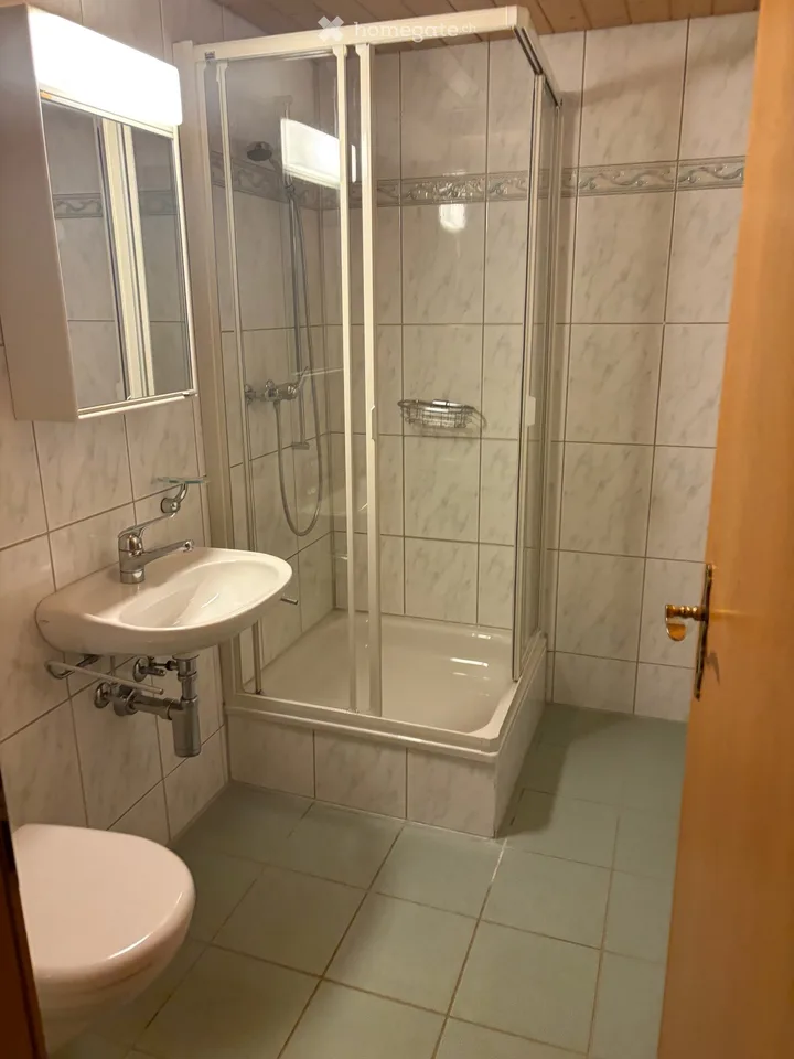 4.5-Zimmer-Dachwohnung mit Berg- und Seesicht in Greppen