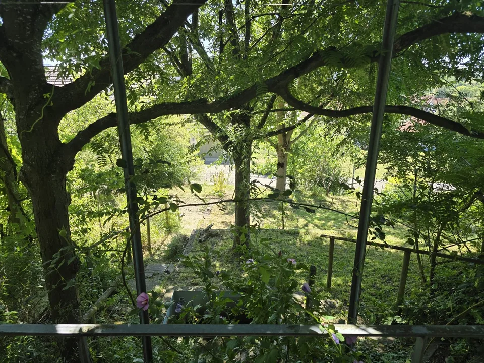 Belle partie de maison non conventionnelle pour les amoureux de jardin dans un excellent emplacement à Uesslingen