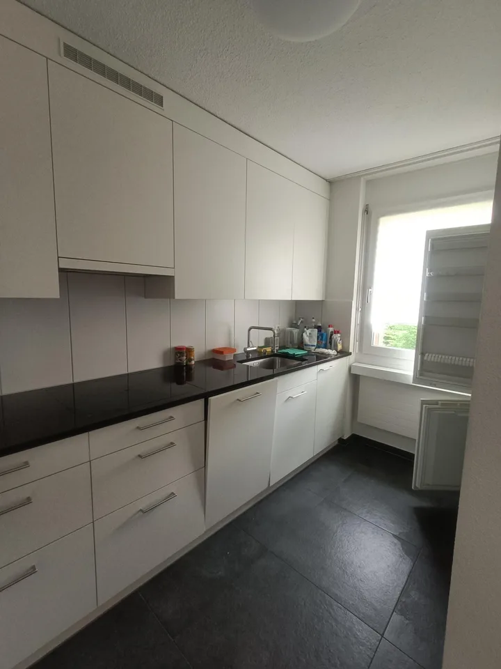 Appartement 4.5 pièces avec grande terrasse sur le toit