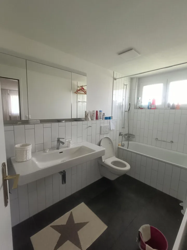 Appartement 4.5 pièces avec grande terrasse sur le toit