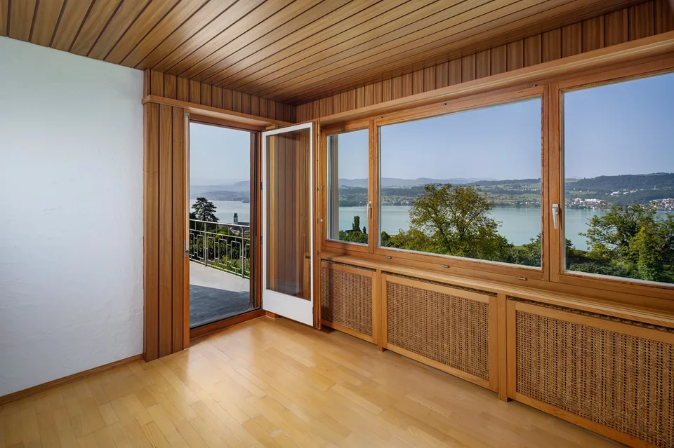 PANORAMA DE TERRAIN SUR LE LAC DE ZURICH – photo 3 sur 8