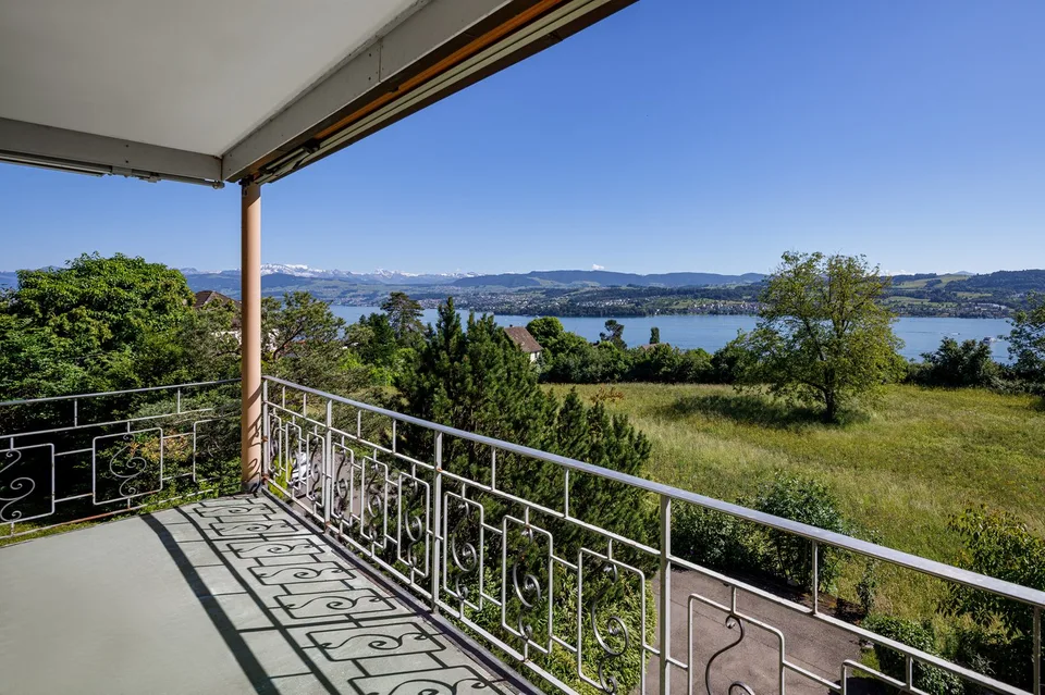 PANORAMA DE TERRAIN SUR LE LAC DE ZURICH – photo 4 sur 8