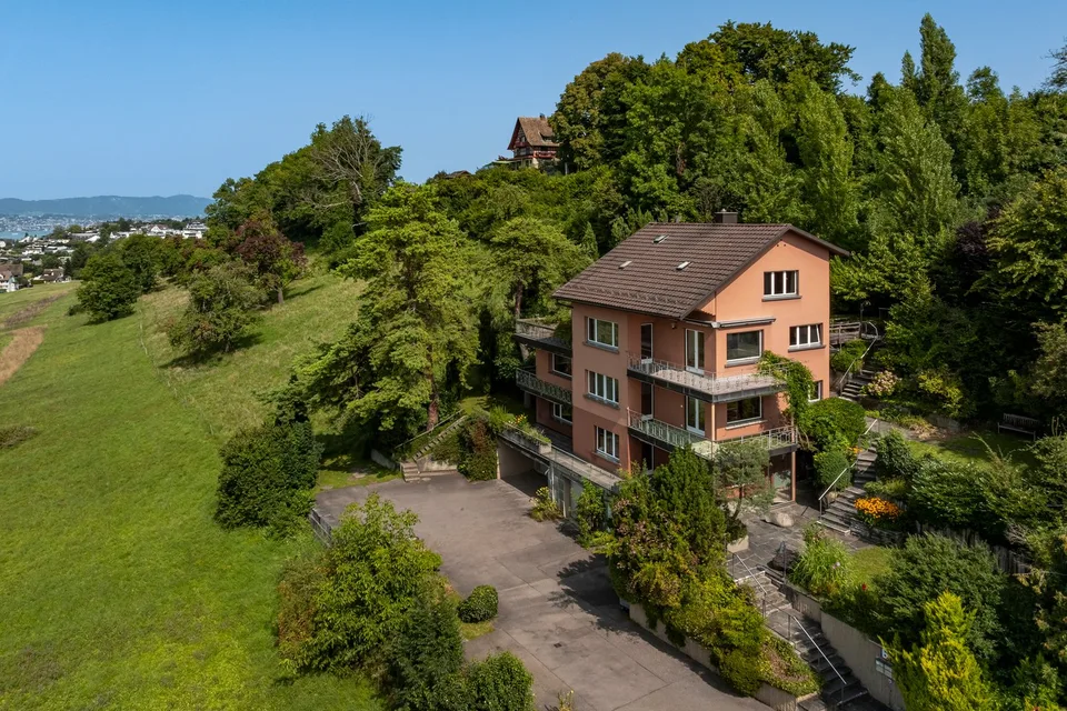 PANORAMA DE TERRAIN SUR LE LAC DE ZURICH – photo 7 sur 8