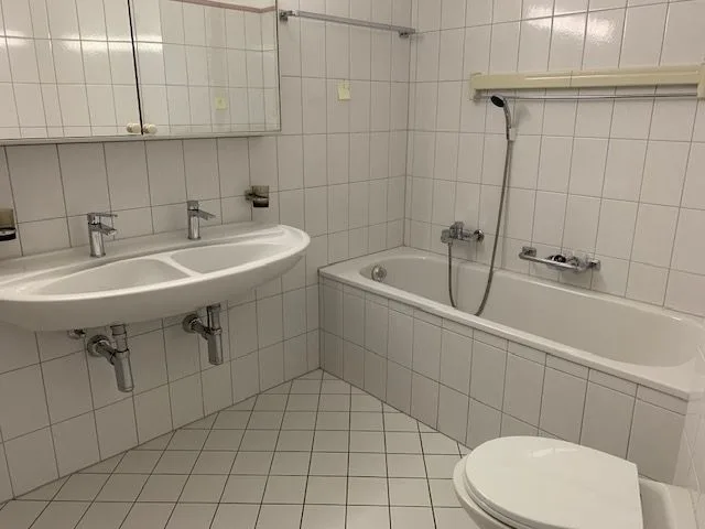 4.5-Room Apartment