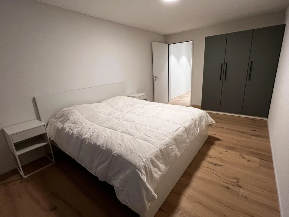 Luxurious Penthouse Apartment for Rent - Prime Location in Goldau