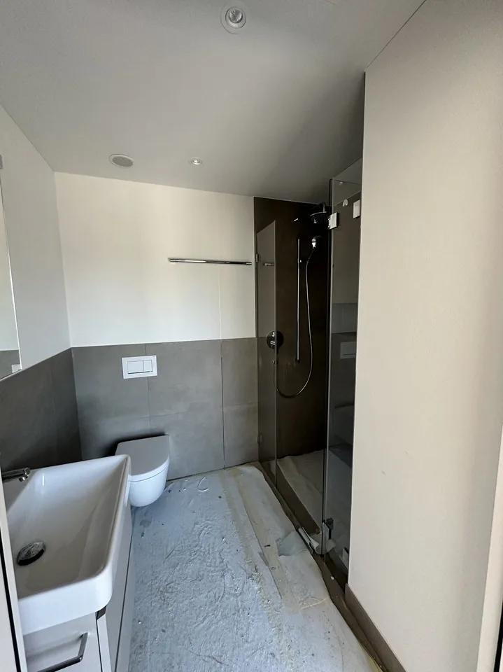 Luxurious Penthouse Apartment for Rent - Prime Location in Goldau