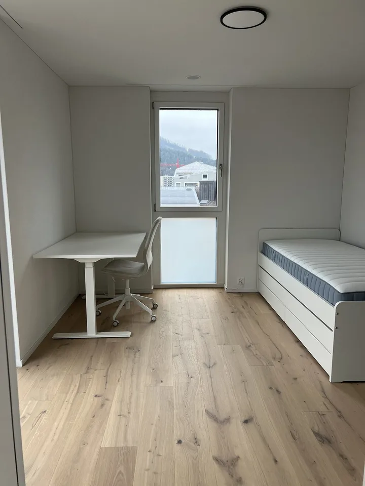 Luxurious Penthouse Apartment for Rent - Prime Location in Goldau