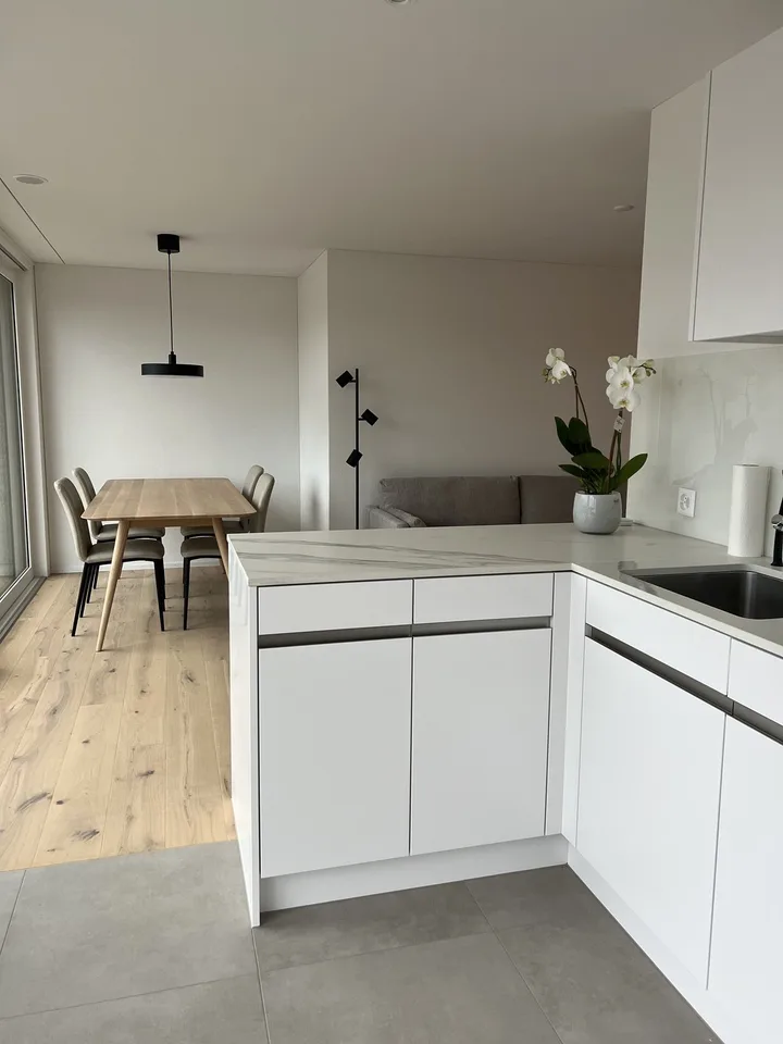 Luxurious Penthouse Apartment for Rent - Prime Location in Goldau