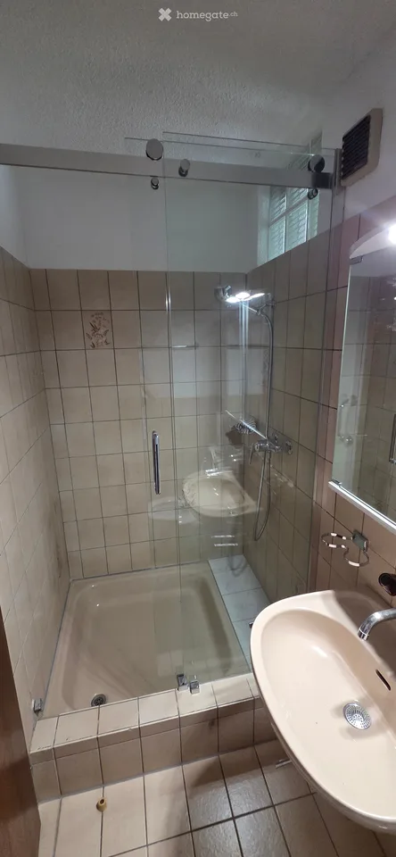 Helle 4.5-Zimmer-Wohnung mit Balkon und schöner Aussicht in Wangen-Brüttisellen