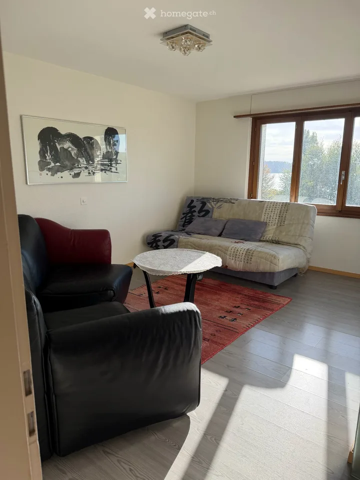Spacious 4-room apartment with terrace and garden in La Neuveville