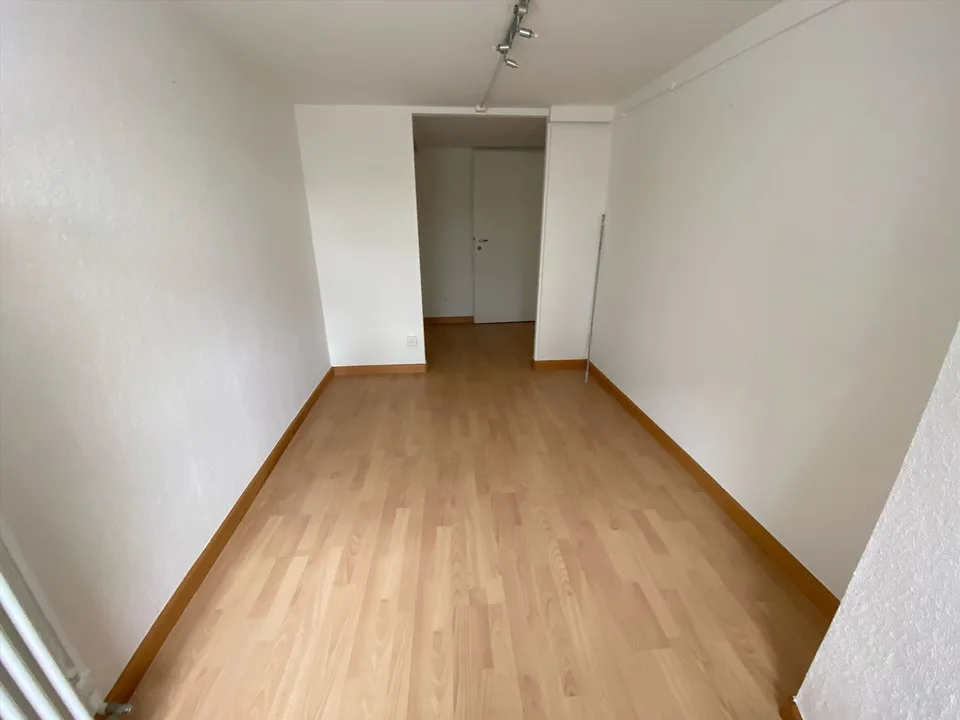 1 Zimmer Wohnung, 4102 Binningen
