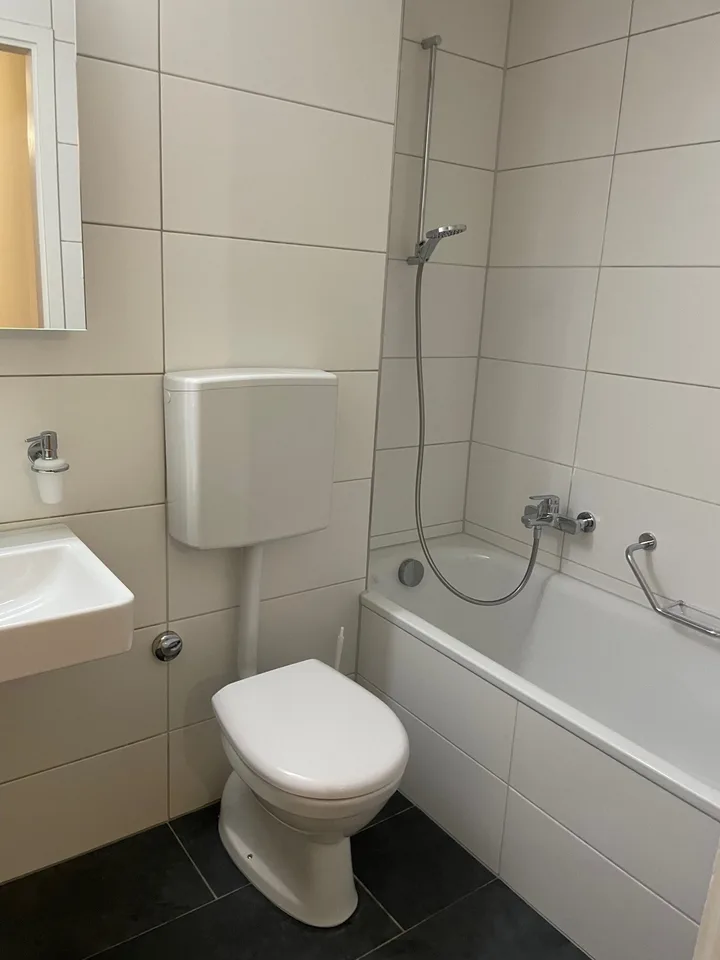 1 Zimmer Wohnung, 4102 Binningen