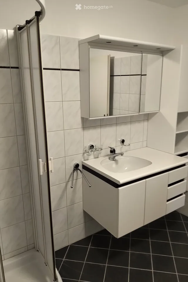 Schöne 3.5 Zimmer Wohnung mit eigenem Garten in Waltenschwil