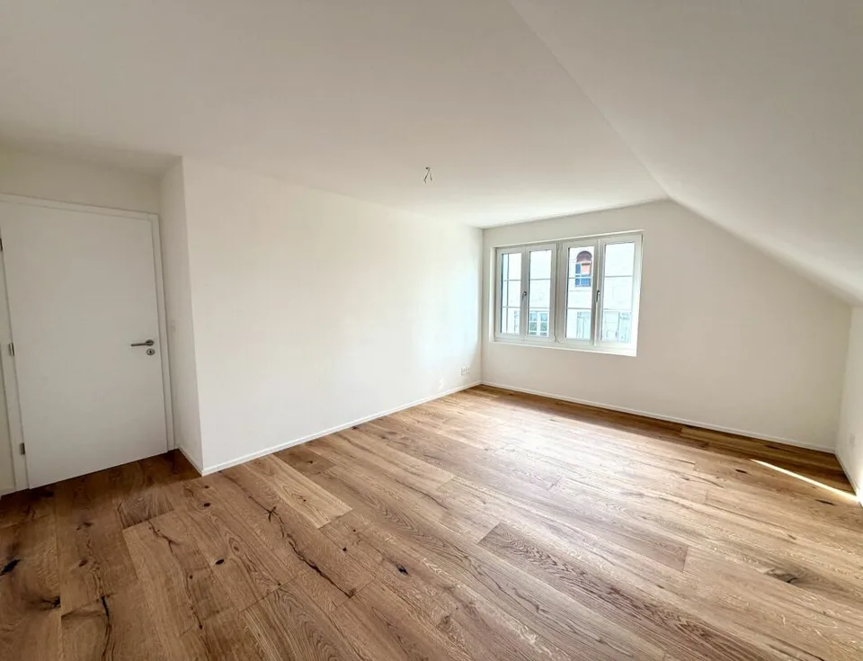 Appartamento di 4,5 locali completamente ristrutturato a Birr! – foto 6 di 12