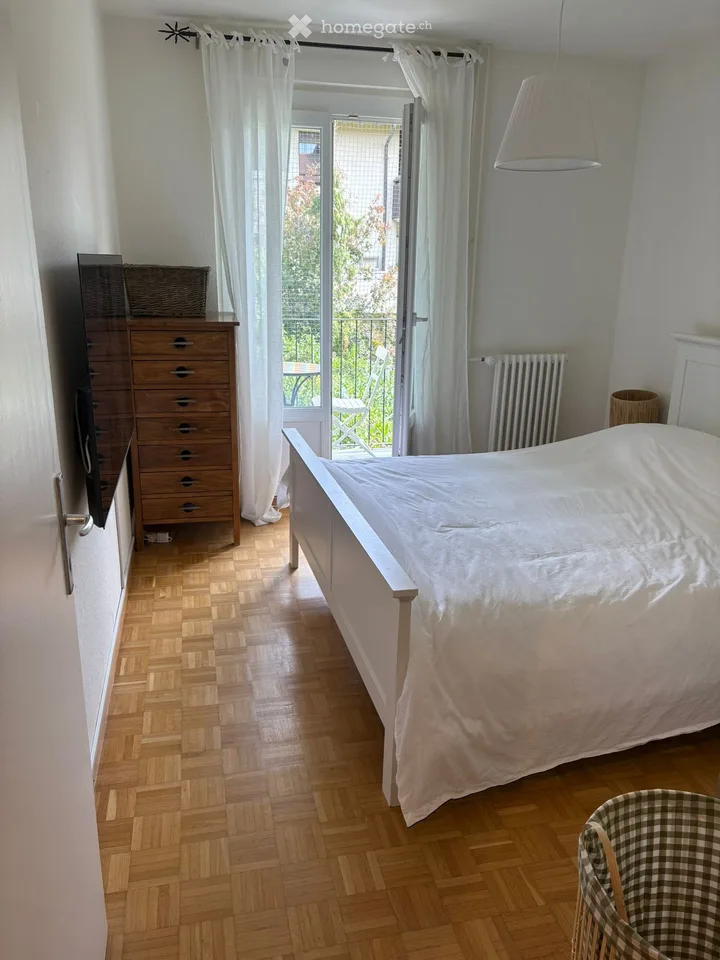 Charmantes 3-Zimmer-Wohnung im Herzen des Dorfes Corsier