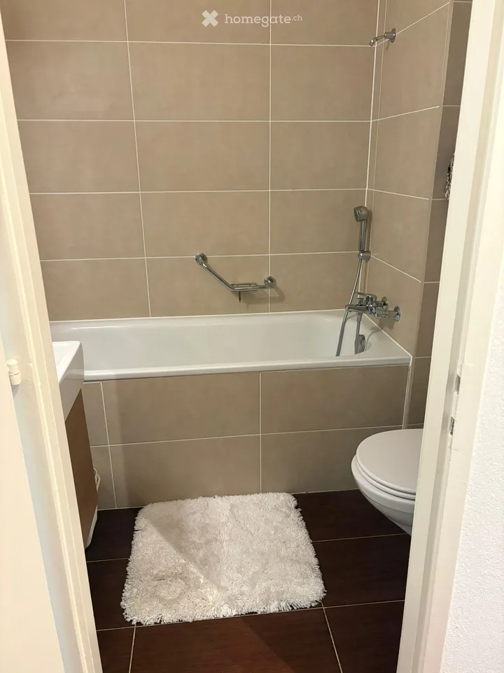 Charmantes 3-Zimmer-Wohnung im Herzen des Dorfes Corsier