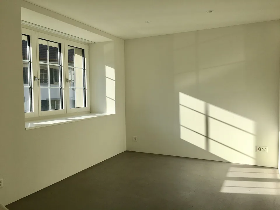 Vivere sul ruscello, costruzione nuova di tipo loft in un edificio antico; Vivere su due piani