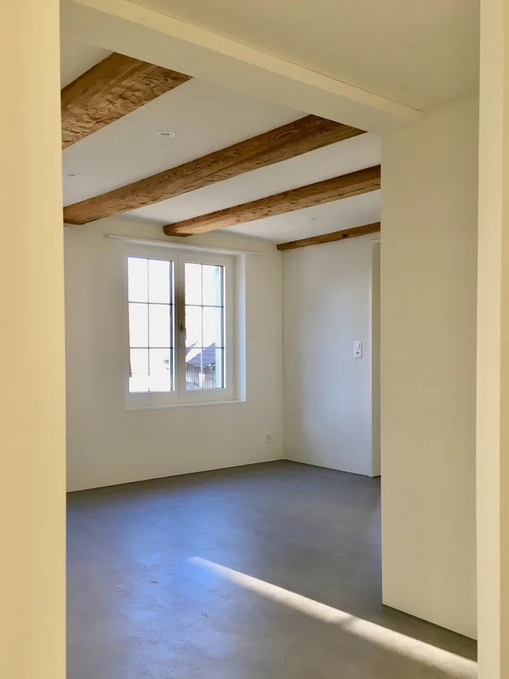 Vivere sul ruscello, costruzione nuova di tipo loft in un edificio antico; Vivere su due piani