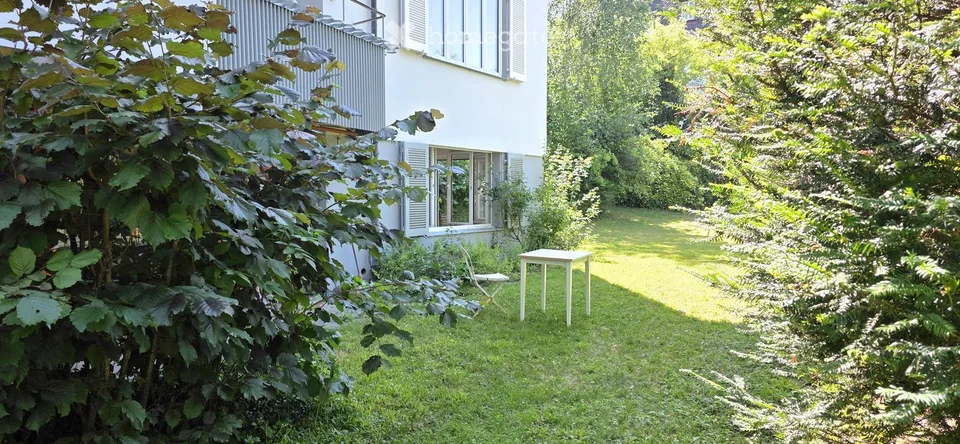 2.5-Zimmer-Wohnung im EG in Zollikon – sofort verfügbar / 2.5-Room Apartment in Zollikon