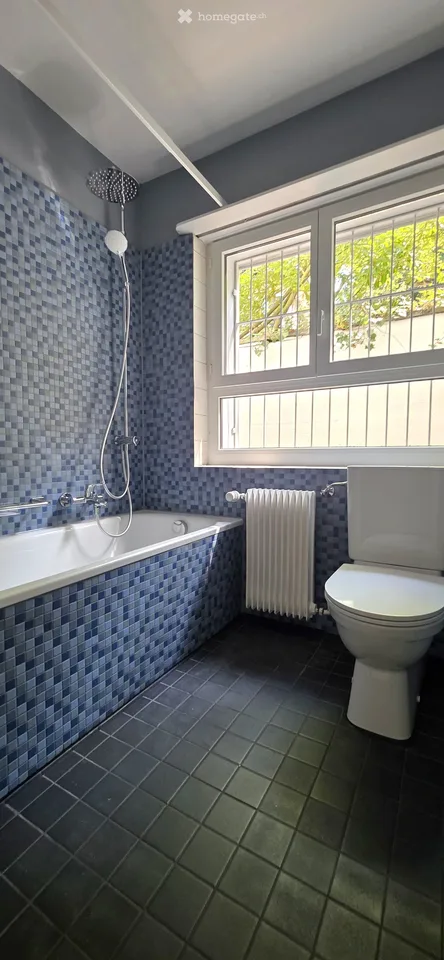 2.5-Zimmer-Wohnung im EG in Zollikon – sofort verfügbar / 2.5-Room Apartment in Zollikon