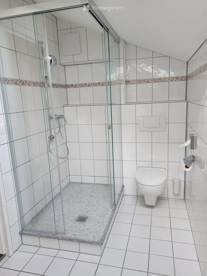 Charming 3.5-room attic apartment with balcony in Solothurn